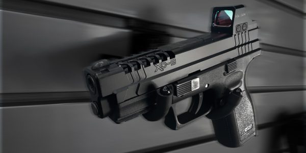 M&P Raptor Cut - Image 3
